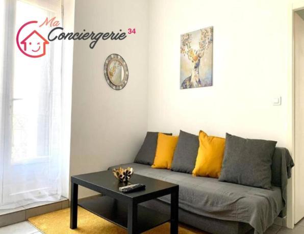Appartement Confort Centre-Ville St Roch مونبيلييه المظهر الخارجي الصورة